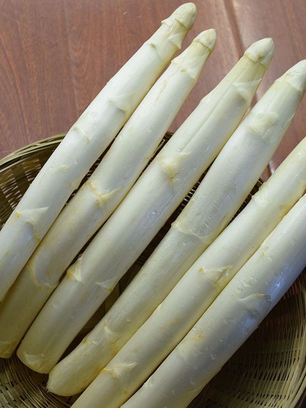 蘆筍種子怎么進行藥劑浸泡法呢
